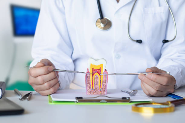 Best Emergency Tooth Extraction in Rendon, TX